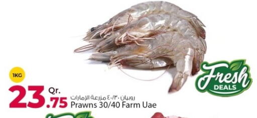 available at روابي هايبرماركت in قطر - الريان