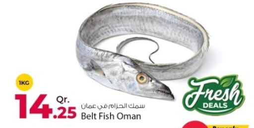 available at روابي هايبرماركت in قطر - الريان