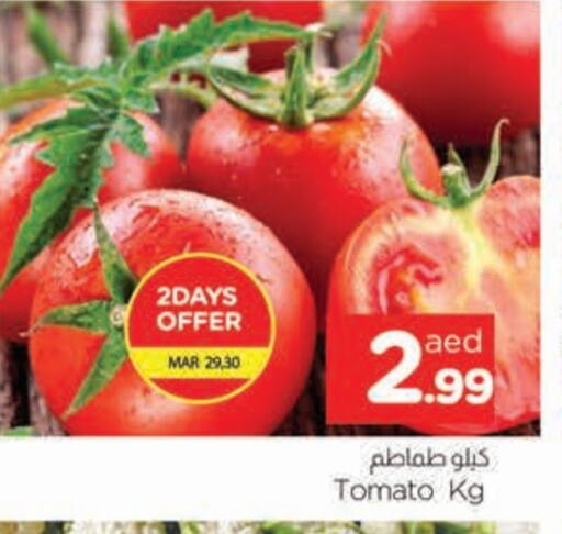 Tomato available at AL MADINA in UAE - Sharjah / Ajman