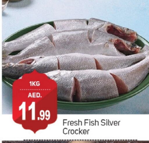 available at TALAL MARKET in UAE - Dubai