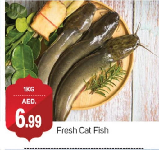 available at TALAL MARKET in UAE - Dubai