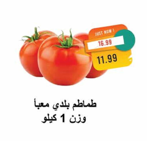 Tomato available at Metro Market  in Egypt - Cairo