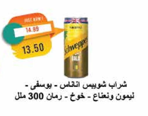 شويبس available at مترو ماركت in Egypt - القاهرة