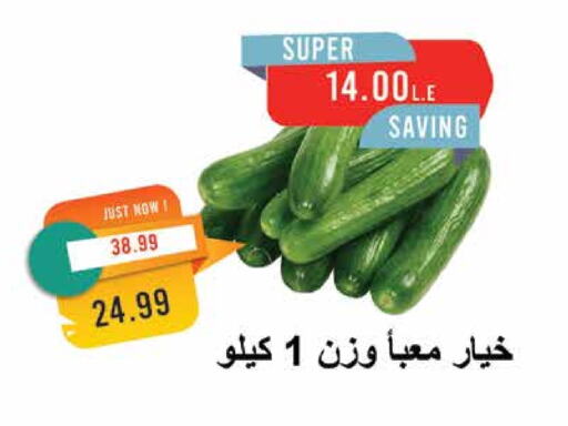 Cucumber available at Metro Market  in Egypt - Cairo