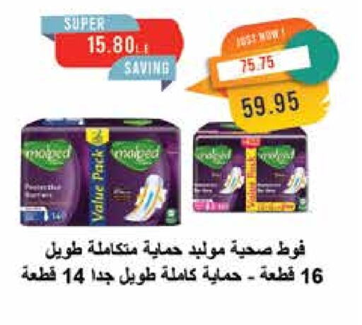 available at Metro Market  in Egypt - Cairo