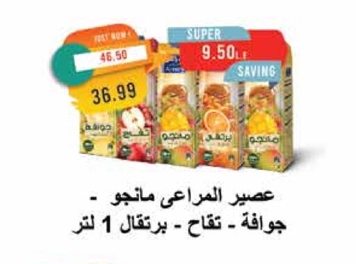 المراعي available at مترو ماركت in Egypt - القاهرة