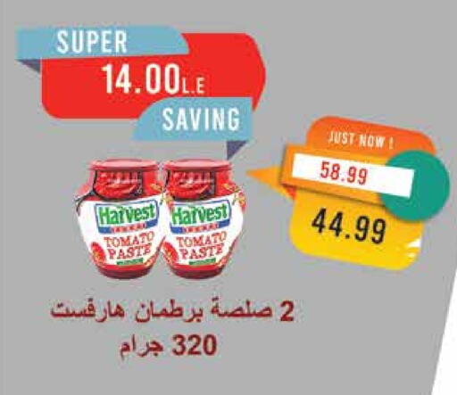 Tomato Paste available at Metro Market  in Egypt - Cairo