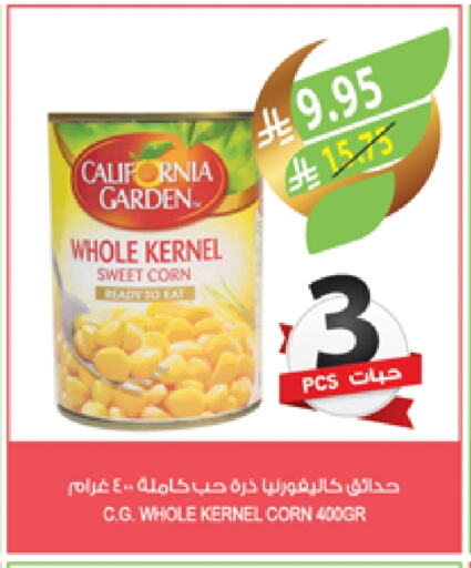 CALIFORNIA GARDEN available at Farm  in KSA, Saudi Arabia, Saudi - Abha