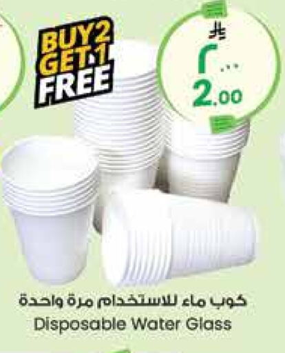 available at City Flower in KSA, Saudi Arabia, Saudi - Yanbu