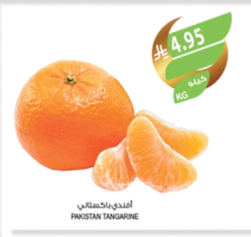 برتقال from Pakistan available at المزرعة in مملكة العربية السعودية, السعودية, سعودية - أبها