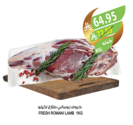 Mutton / Lamb available at Farm  in KSA, Saudi Arabia, Saudi - Jubail