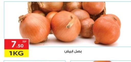 Onion available at El Mahallawy Market  in Egypt - Cairo