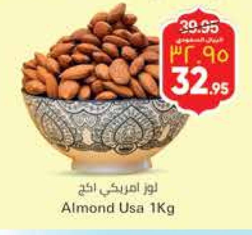 available at City Flower in KSA, Saudi Arabia, Saudi - Jubail