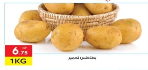 Potato available at El Mahallawy Market  in Egypt - Cairo