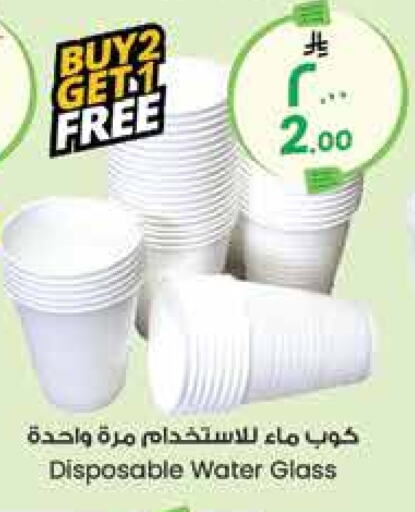 available at City Flower in KSA, Saudi Arabia, Saudi - Hafar Al Batin