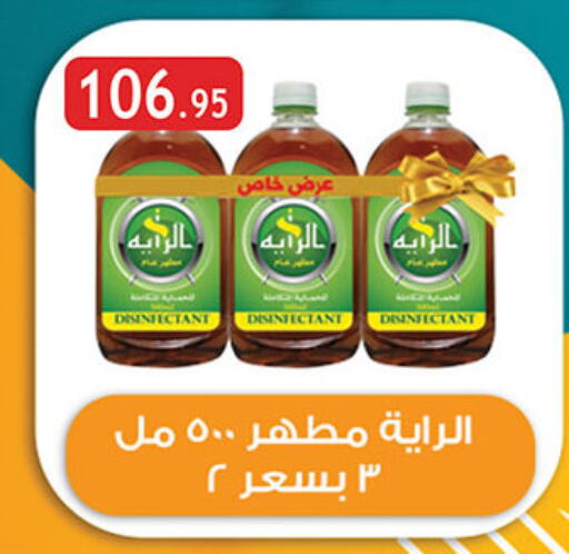 Disinfectant available at Al Rayah Market   in Egypt - Cairo