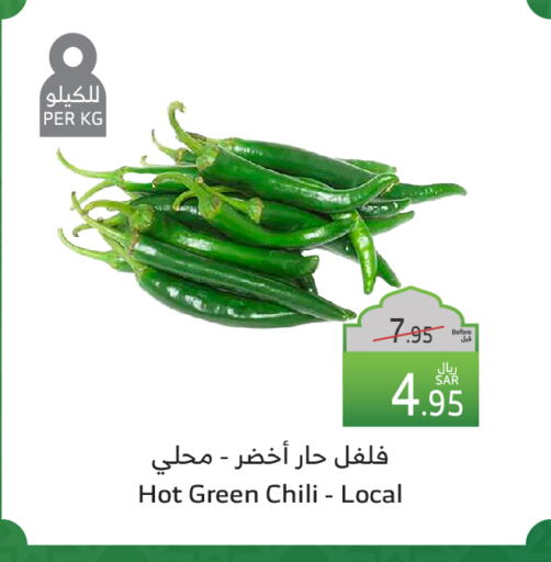 فلفل / فليفلة available at الراية in مملكة العربية السعودية, السعودية, سعودية - تبوك