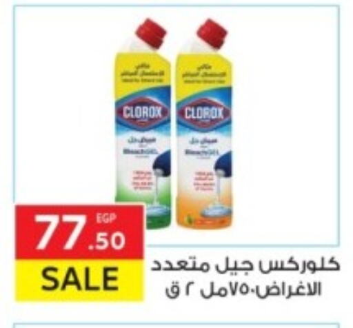 CLOROX General Cleaner available at El Mahallawy Market  in Egypt - Cairo