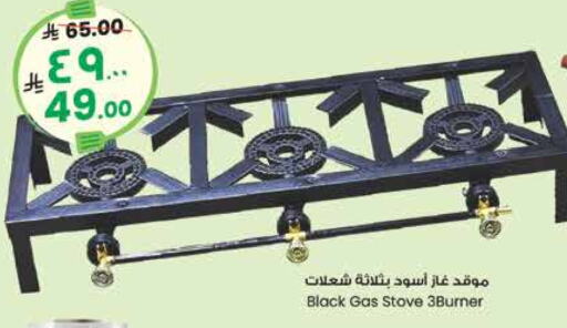 available at City Flower in KSA, Saudi Arabia, Saudi - Jubail