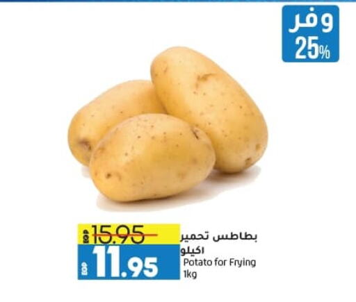 بطاطا available at لولو هايبرماركت in Egypt - القاهرة