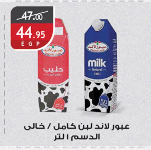 Laban available at Al Rayah Market   in Egypt - Cairo