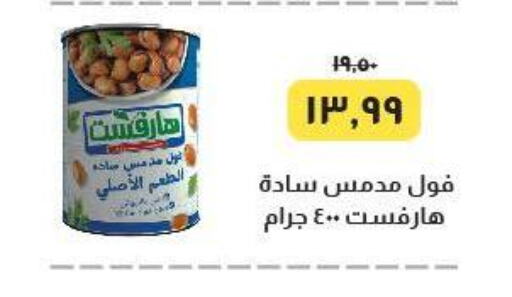 Fava Beans available at Kheir Zaman  in Egypt - Cairo