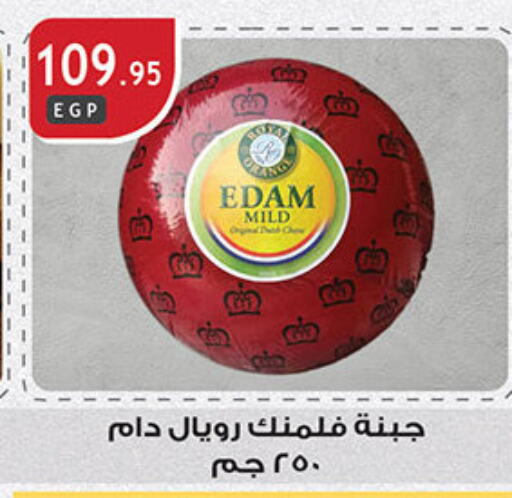 Edam available at Al Rayah Market   in Egypt - Cairo