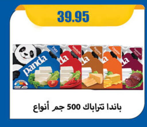 PANDA available at Al Rayah Market   in Egypt - Cairo