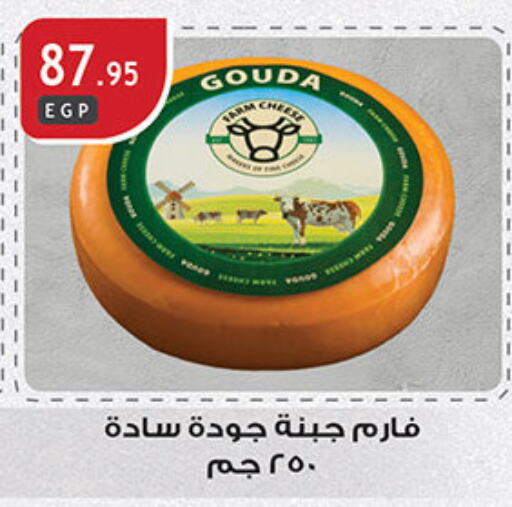 Gouda available at Al Rayah Market   in Egypt - Cairo