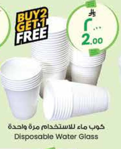 available at City Flower in KSA, Saudi Arabia, Saudi - Arar