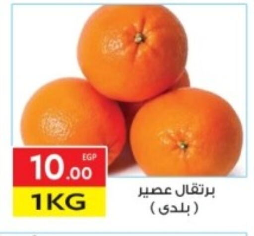 Orange available at El Mahallawy Market  in Egypt - Cairo