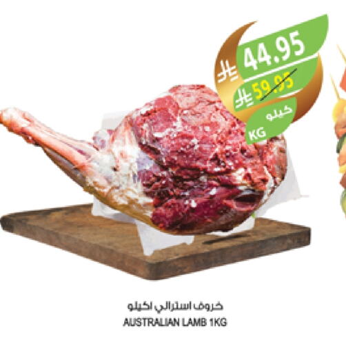 Mutton / Lamb available at Farm  in KSA, Saudi Arabia, Saudi - Jubail