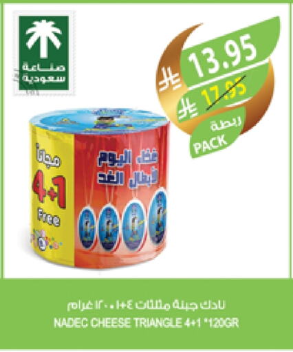 NADEC Triangle Cheese available at Farm  in KSA, Saudi Arabia, Saudi - Sakaka