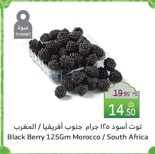 Berries from Morocco South Africa available at Al Raya in KSA, Saudi Arabia, Saudi - Mecca