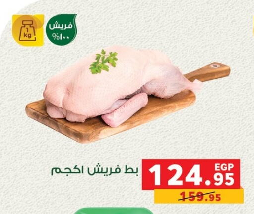 available at بنده in Egypt - القاهرة