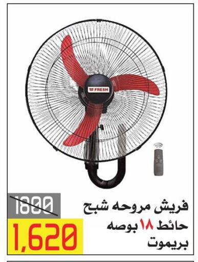 FRESH Fan available at  Elabed Hyper in Egypt - Cairo