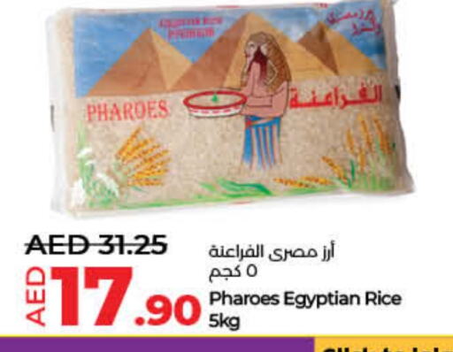 Calrose Rice available at Lulu Hypermarket in UAE - Fujairah