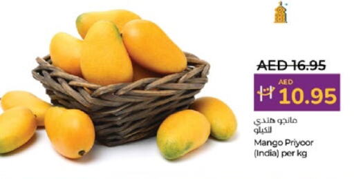 Mango Mango from India available at Lulu Hypermarket in UAE - Al Ain