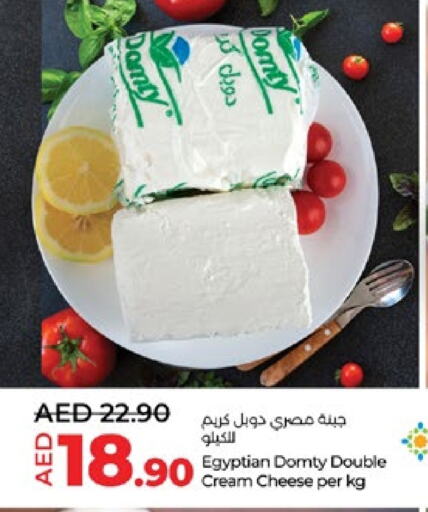 DOMTY Cream Cheese available at Lulu Hypermarket in UAE - Al Ain