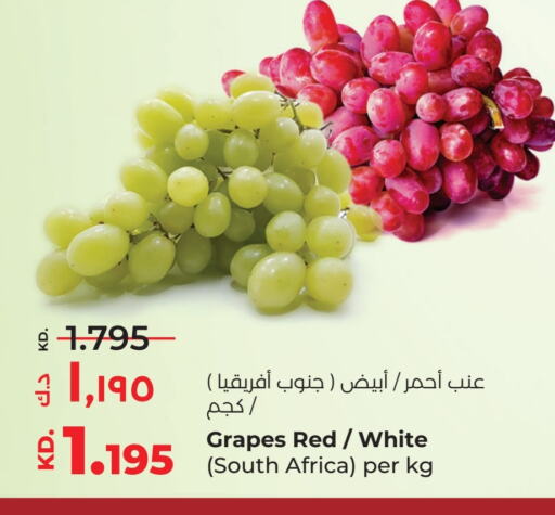 عنب from South Africa available at لولو هايبر ماركت in الكويت - محافظة الأحمدي