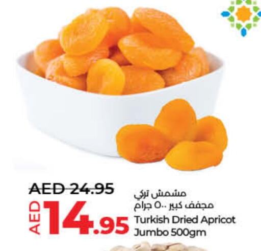 Apricot available at لولو هايبرماركت in الإمارات العربية المتحدة , الامارات - دبي