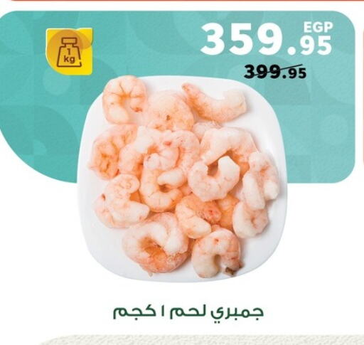 available at Panda  in Egypt - Cairo