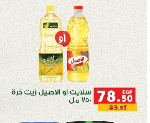 زيت الذرة available at بنده in Egypt - القاهرة