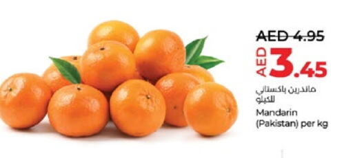 Orange from Pakistan available at Lulu Hypermarket in UAE - Abu Dhabi