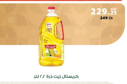 زيت الذرة available at بنده in Egypt - القاهرة