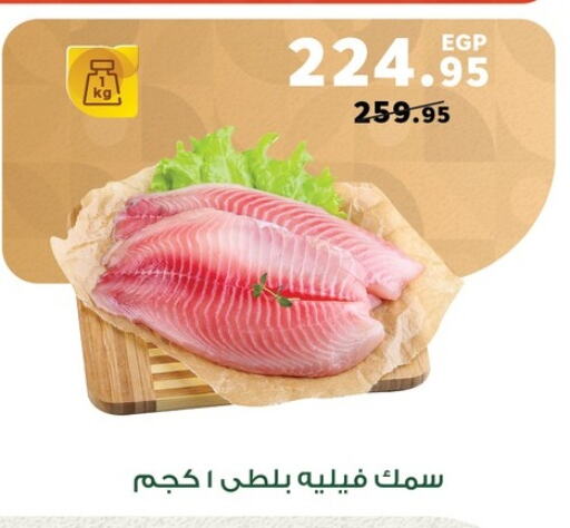 available at Panda  in Egypt - Cairo