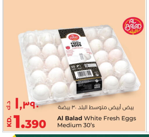 available at لولو هايبر ماركت in الكويت - محافظة الجهراء