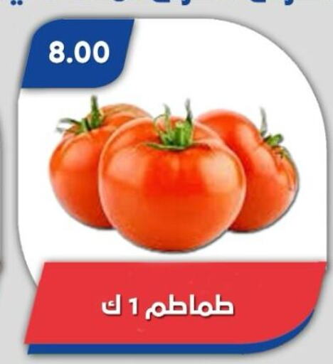 Tomato available at Bassem Market in Egypt - Cairo