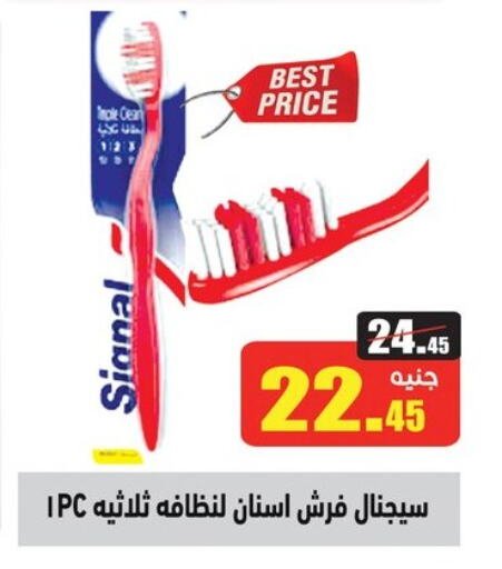 SIGNAL Toothbrush available at Othaim Market   in Egypt - Cairo