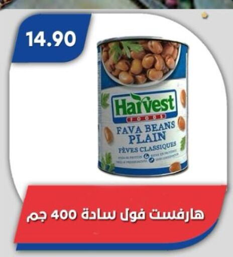 Fava Beans available at Bassem Market in Egypt - Cairo